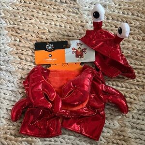Dog Lobster Costume